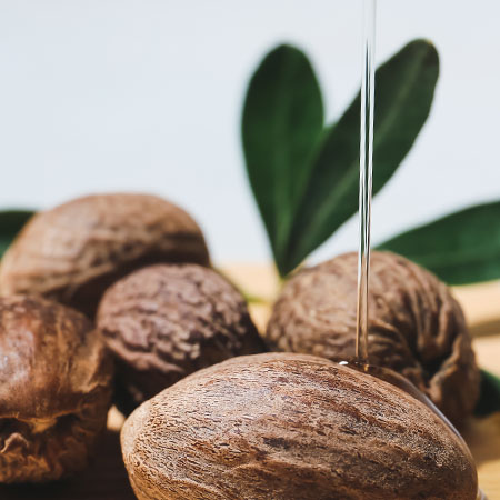 Organic Shea Butter