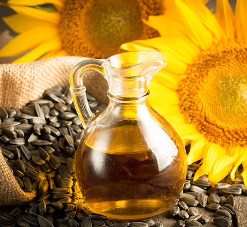 Soline Bio